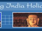Amazing India Holidays Pvt. Ltd.