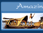 Amazing India Holidays Pvt. Ltd.