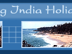 Amazing India Holidays Pvt. Ltd.