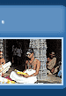 Amazing India Holidays Pvt. Ltd.