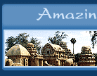 Amazing India Holidays Pvt. Ltd.
