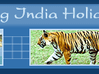 Amazing India Holidays Pvt. Ltd.