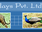 Amazing India Holidays Pvt. Ltd.