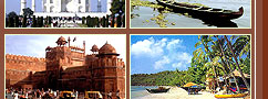 Amazing India Holidays Pvt. Ltd.