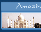 Amazing India Holidays Pvt. Ltd.