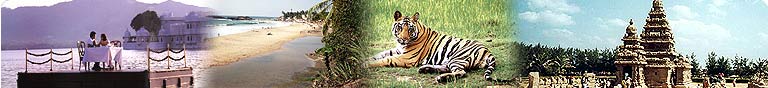 Amazing India Holidays