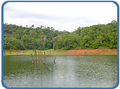 Lake Peri, Periyar