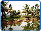 Cochin