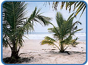 Marari Beach